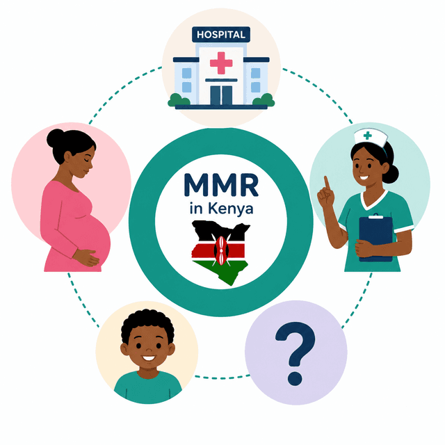 Maternal mortality in Kenya diagram